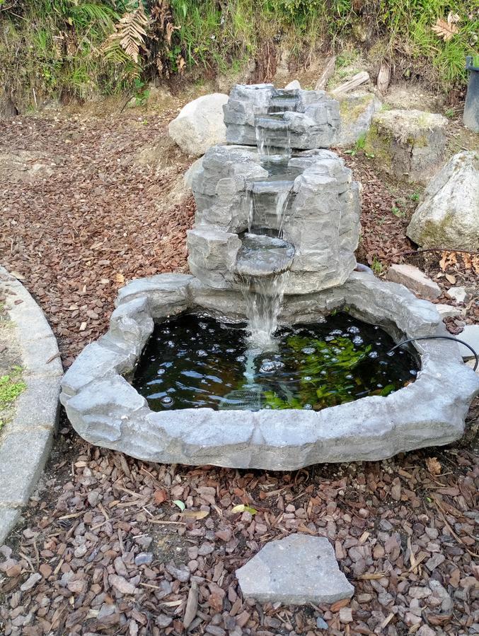 Foodora Lake View Bed & Breakfast Rotorua Exterior foto